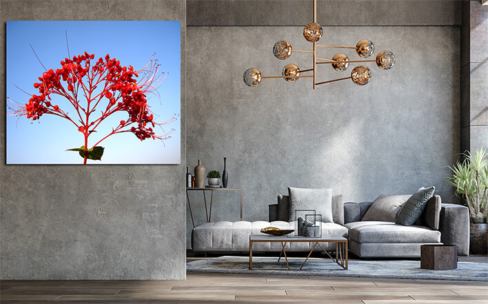 M4 0039 ML 0040 20781312 red flower AOAY2444