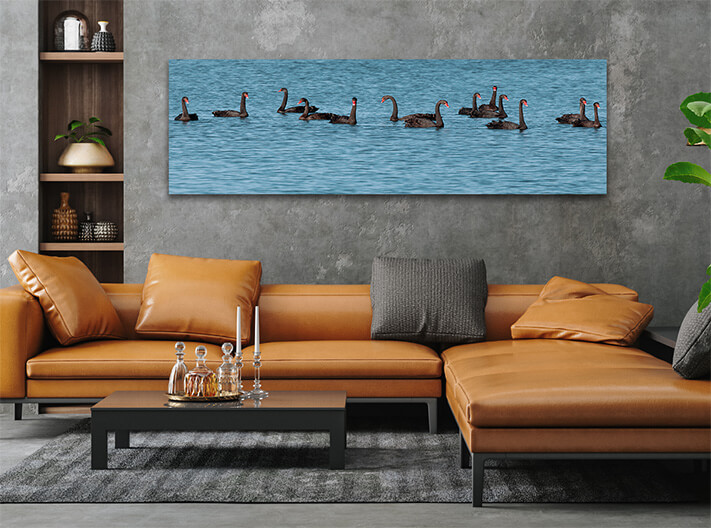 M4 0041 ML 0032 1109844 black swan AOAY2052