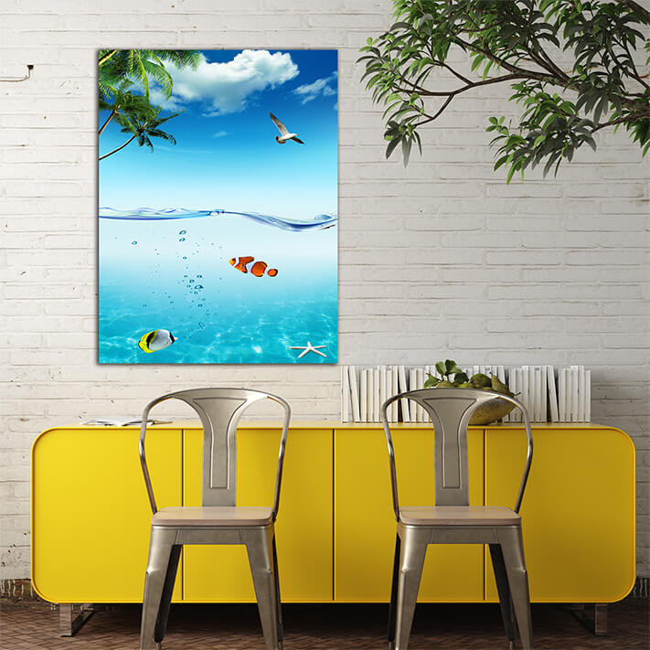 M5 0003 MP 0015 6267622 ocean and tropical fishes AOAY2068