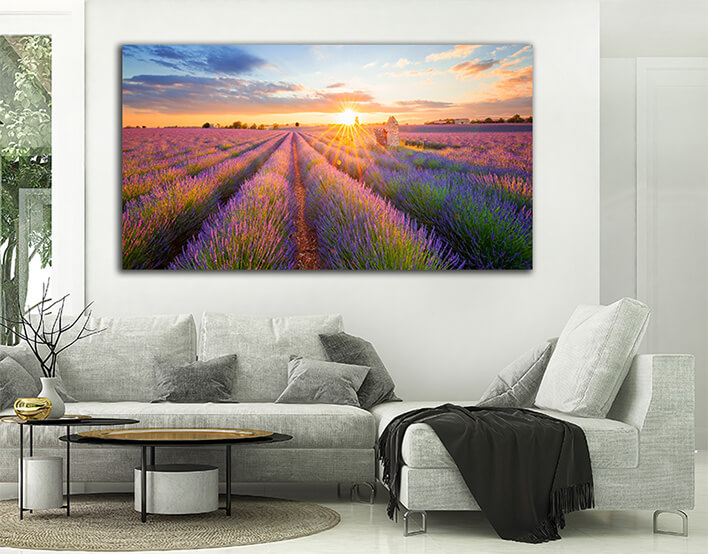 M5_0010_ML_0029_22385920_panoramic-view-of-lavender-filed-in-valensole-at-sunset_AOAY2244