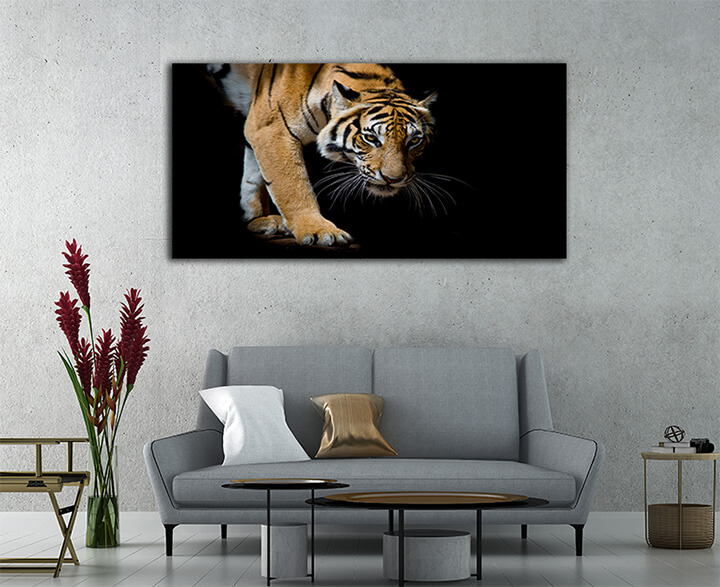 M5 0014 ML 0024 19716960 beautiful tiger walking step by step isolated on black AOAY2287