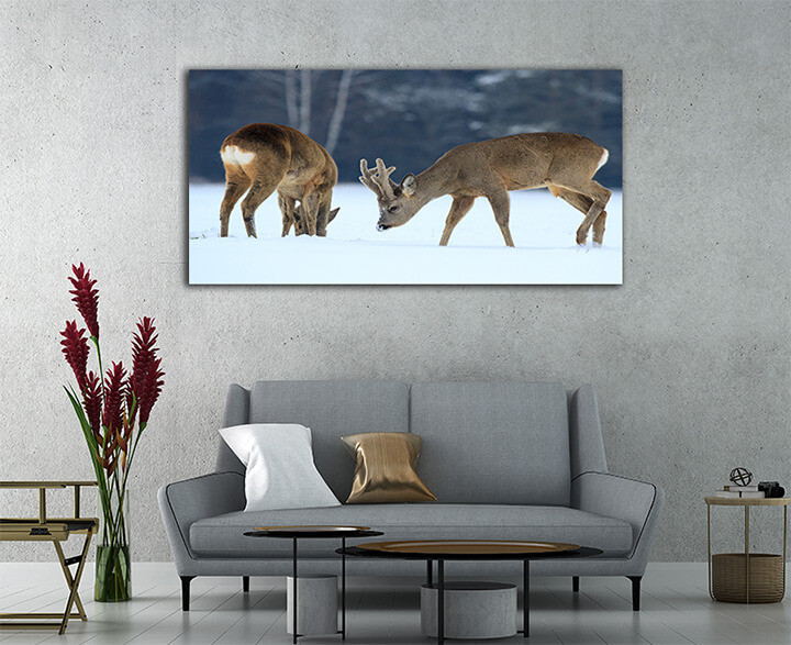 M5 0017 ML 0021 21207718 roe AOAY2290