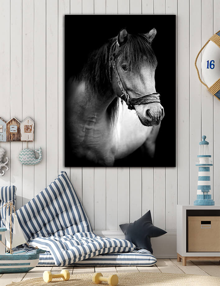 M5 0028 MP 0006 PRINT L 0035 22503880 horse on dark background AOAY2511