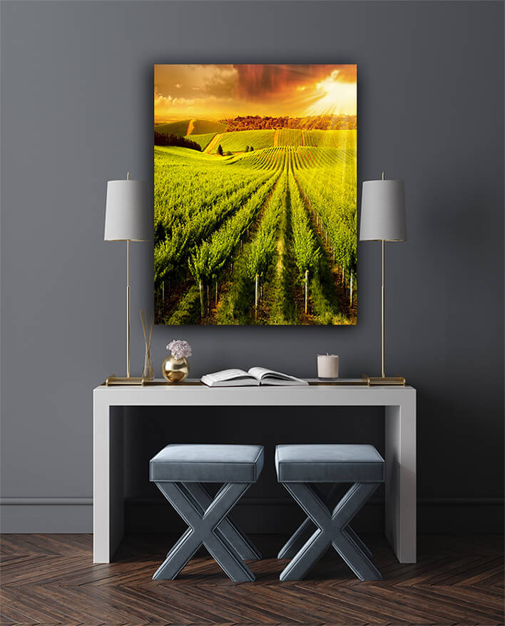 M5 0042 MP 0028 PRINT L 0029 14456784 winery gold AOAY2569