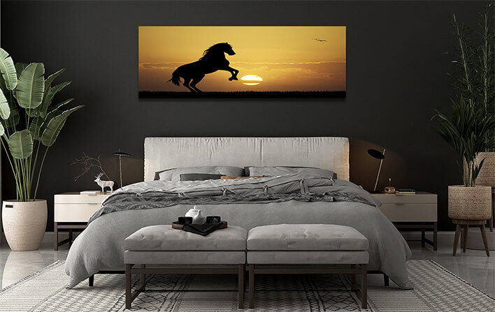 M5 0053 MOCKUPS LAND 0043 14274534 horse at sunset AOAY2186