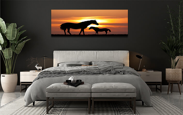 M5_0059_MOCKUPS_LAND_0017_22948742_colt-with-the-mare-at-sunset_AOAY2212