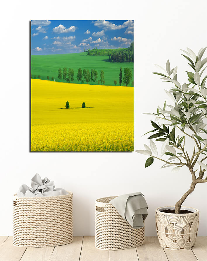 M6 0000 MP 0021 PRINT L 0036 5101418 colors of the spring AOAY2562