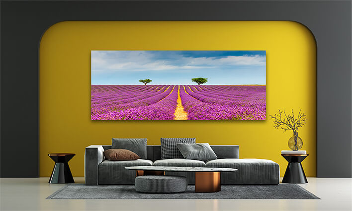 M6_0001_MOCKUP_LAND_0031_31515310_lavender-field-at-valensole-in-the-alpes-de-haute-provence-france_AOAY2346