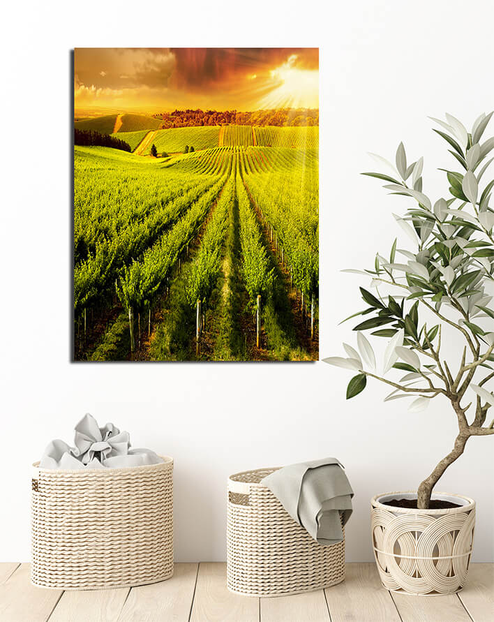 M6 0034 MP 0028 PRINT L 0029 14456784 winery gold AOAY2569