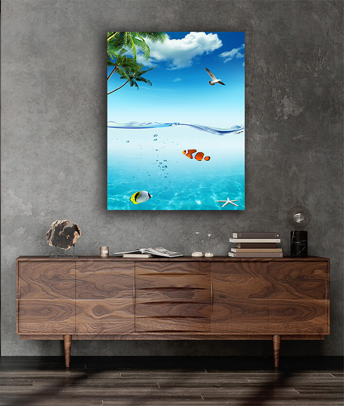 M6 0041 MP 0015 6267622 ocean and tropical fishes AOAY2068