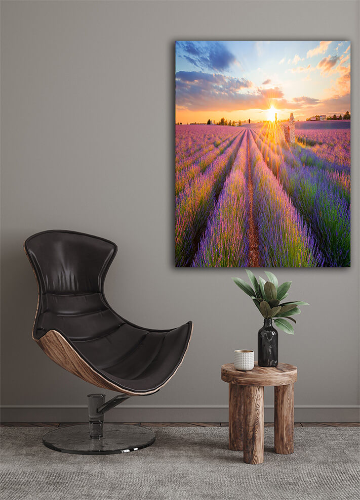 M6_0047_MP_0000s_0052_PRINT_L_0029_22385920_panoramic-view-of-lavender-filed-in-valensole-at-sunset_AOAY2244