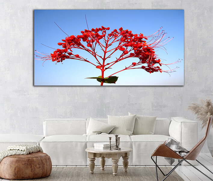 Red flower AOAY2444