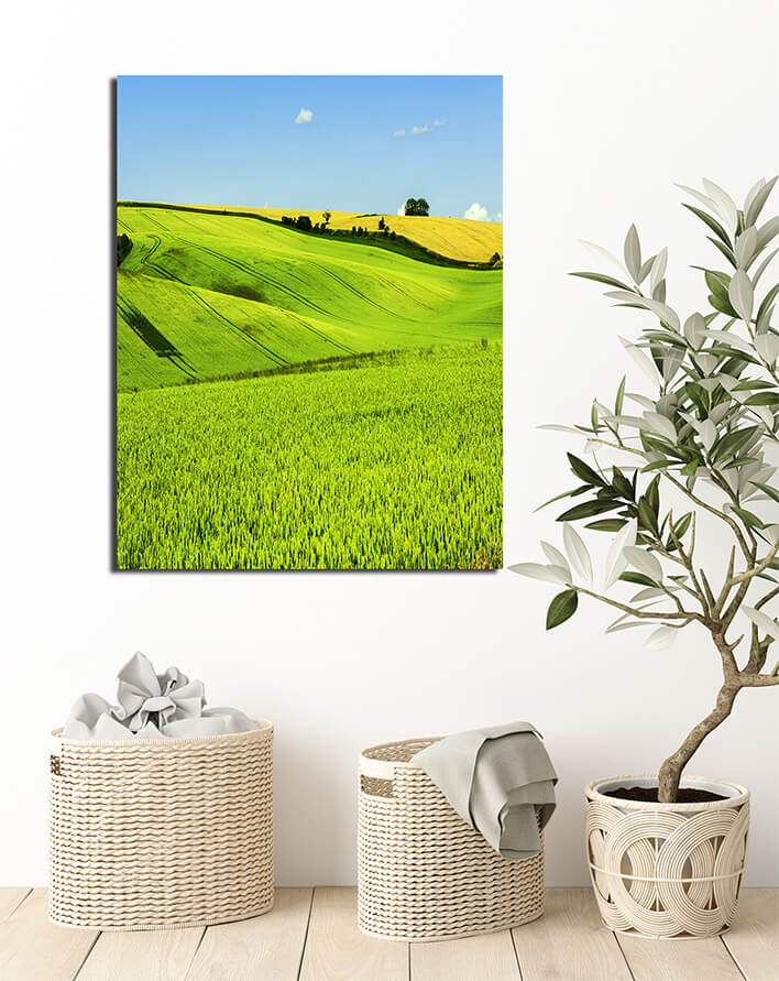 M6_0066_MP_0054_PRINT_L_0003_34485820_green-rolling-field-hills-in-moravia_AOAY2595