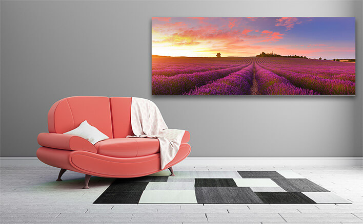 M7 0023 MOCKUP LAND 0010 26767674 panorama of lavender field at sunrise AOAY2332
