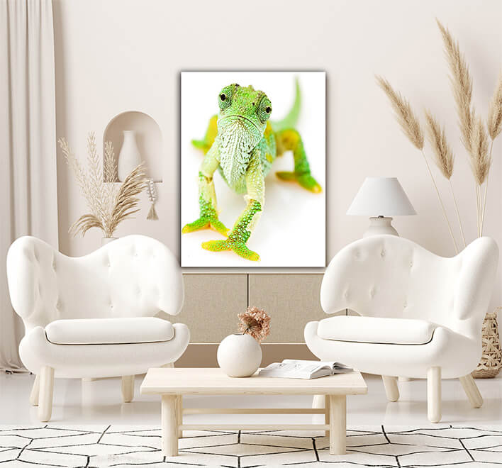 M7 0035 MOCKUP P 0069 PRINT 0057 3286391 green chameleon AOAY1865