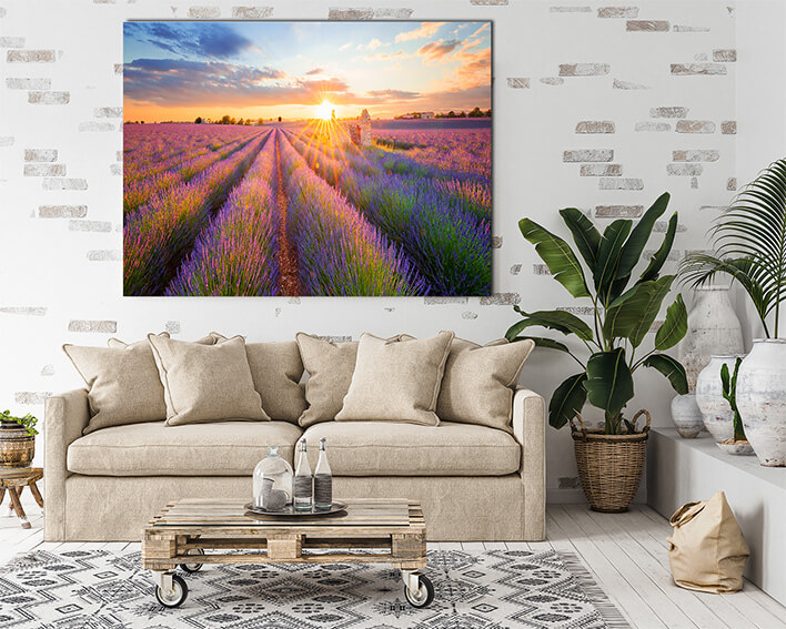M7_0037_ML_0029_22385920_panoramic-view-of-lavender-filed-in-valensole-at-sunset_AOAY2244