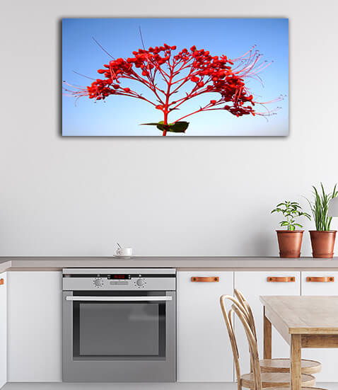 M7 0042 ML 0040 20781312 red flower AOAY2444