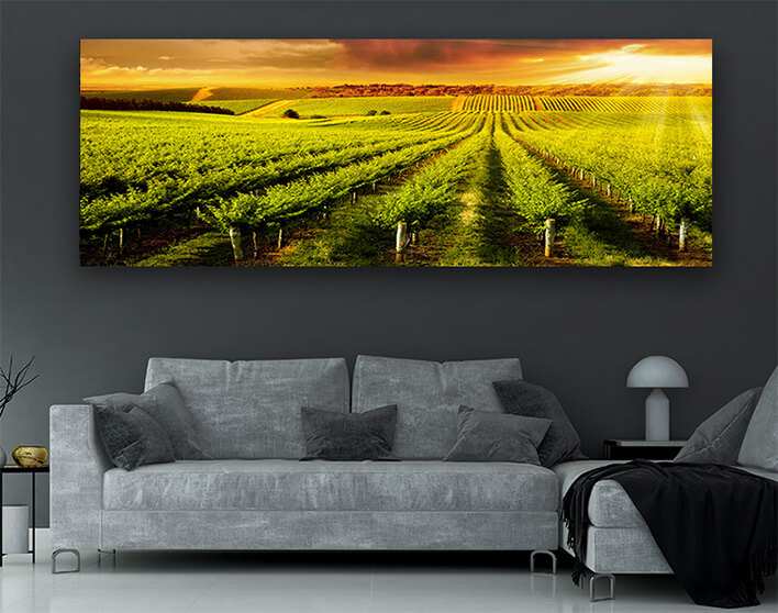 M8 0023 ML 0029 14456784 winery gold AOAY2569