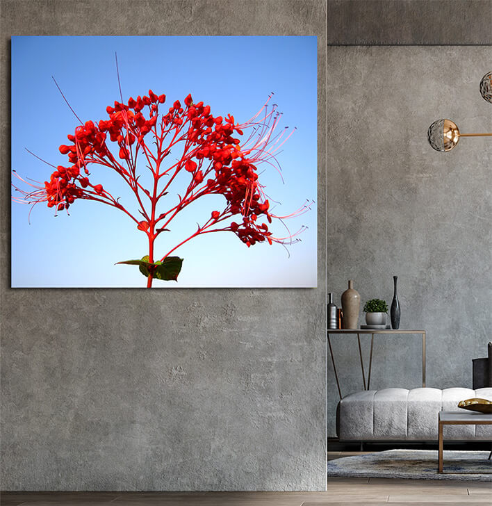 M8 0039 ML 0040 20781312 red flower AOAY2444