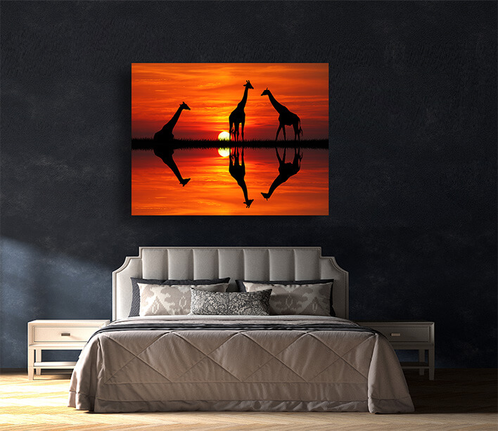 M9 0008 MOCKUPS LAND 0051 10467616 giraffe at sunset AOAY2178