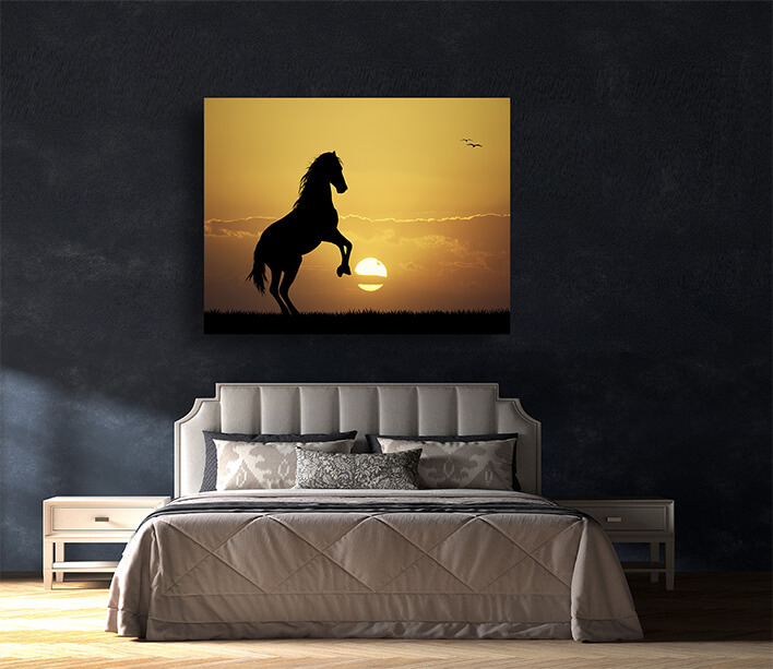 M9 0016 MOCKUPS LAND 0043 14274534 horse at sunset AOAY2186