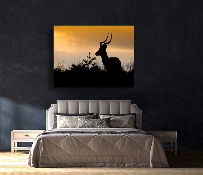 M9 0020 MOCKUPS LAND 0039 19173082 african antelope silhouette AOAY2190