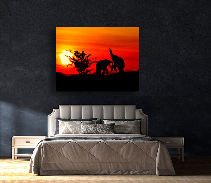 M9 0040 MOCKUPS LAND 0000 36027522 silhouette elephant battle animals wildlife in twilight sunset beautiful AOAY2226
