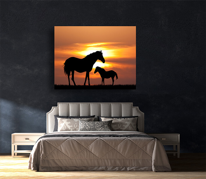 M9_0060_MOCKUPS_LAND_0017_22948742_colt-with-the-mare-at-sunset_AOAY2212