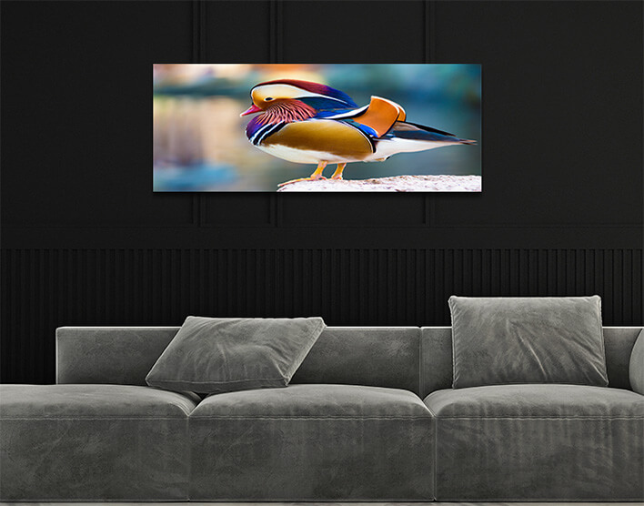 1M 0031 MML 0012 ML 0047 15295106 mandarin duck AOAY2804