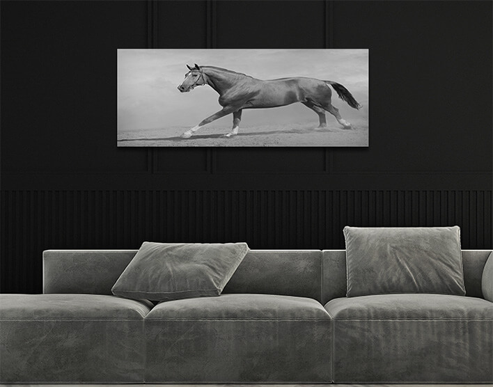 1M 0032 MML 0011 ML 0048 15251768 horse galloping AOAY2803