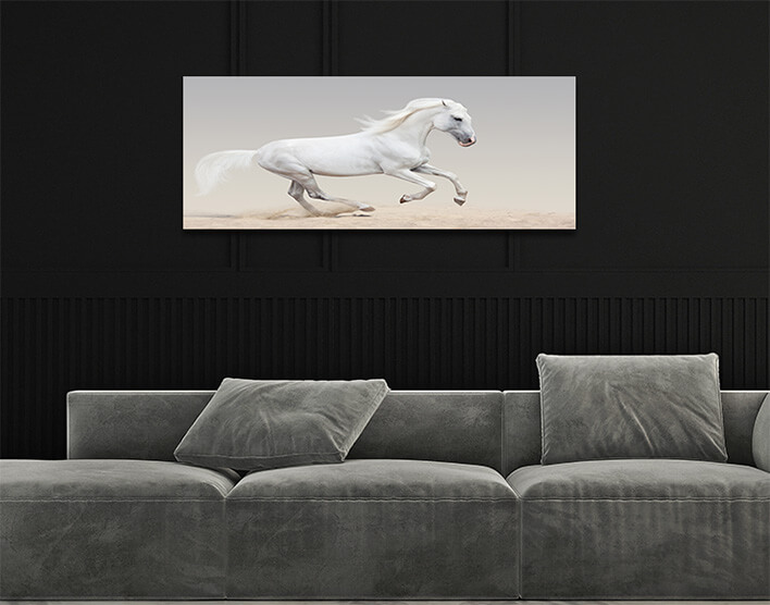 1M 0035 MML 0008 ML 0051 12937358 orlov trotter AOAY2800