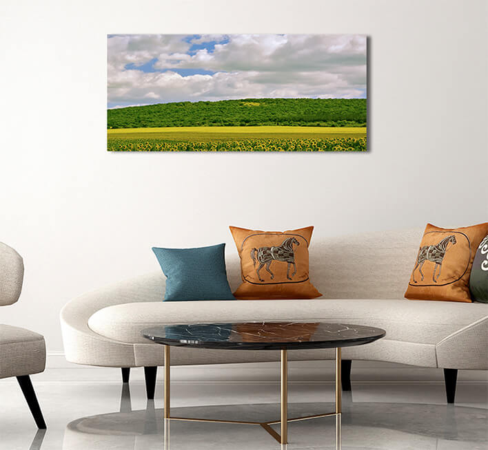 2M 0014 MML 0031 ML 0028 22960794 sunflowers field in bulgaria AOAY2824