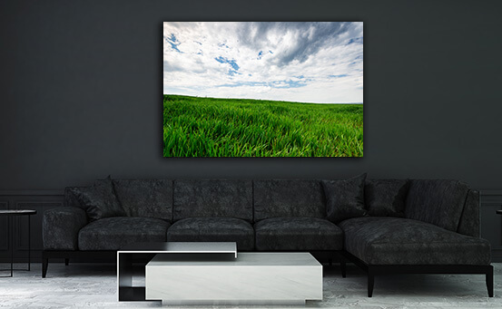 2M 0018 ML 0006 30338314 green wheat or grass and blue sky with clouds farmland or count AOAY2677
