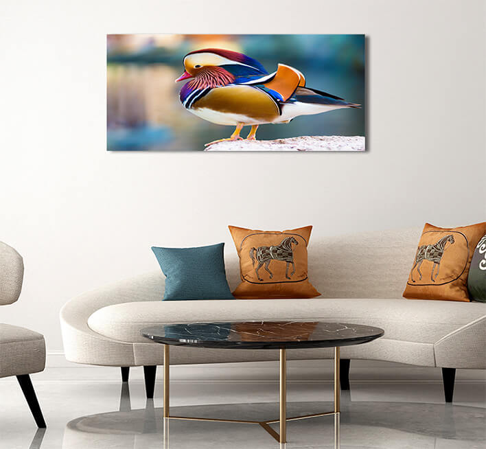 2M 0033 MML 0012 ML 0047 15295106 mandarin duck AOAY2804