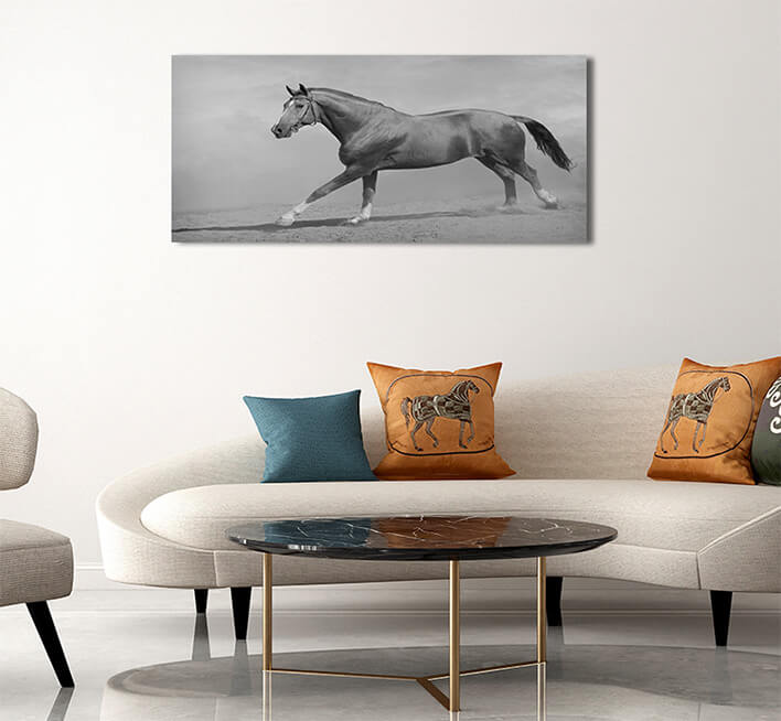 2M 0034 MML 0011 ML 0048 15251768 horse galloping AOAY2803