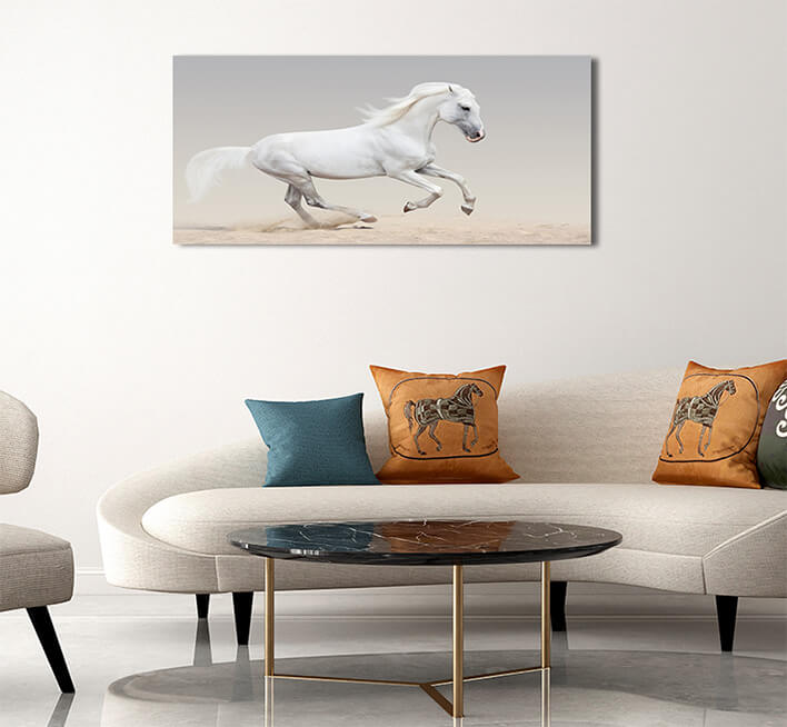 2M 0037 MML 0008 ML 0051 12937358 orlov trotter AOAY2800