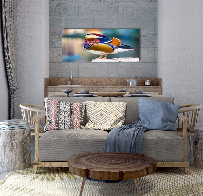 3M 0021 MML 0012 ML 0047 15295106 mandarin duck AOAY2804