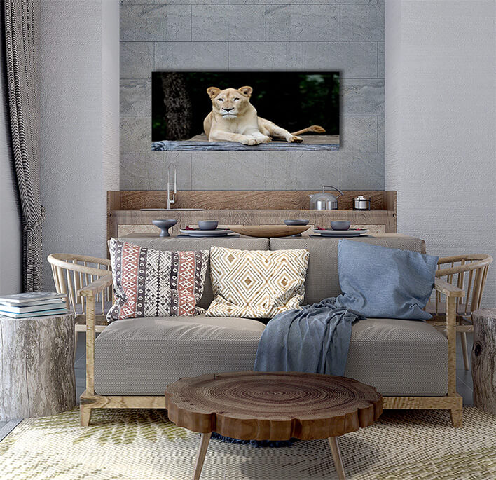 3M 0026 MML 0007 ML 0052 10292976 female white lion AOAY2799