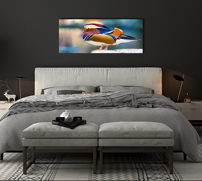 4N 0024 MML 0012 ML 0047 15295106 mandarin duck AOAY2804