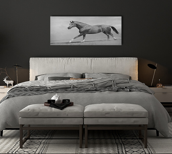 4N 0025 MML 0011 ML 0048 15251768 horse galloping AOAY2803