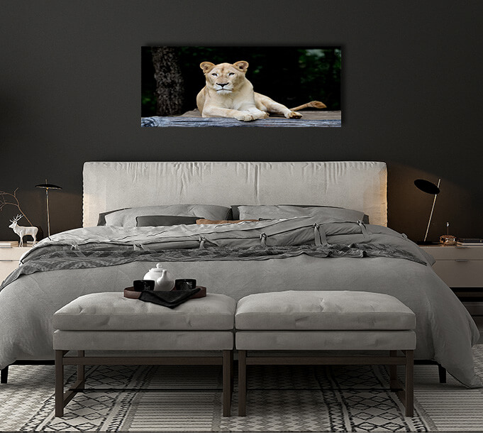 4N 0029 MML 0007 ML 0052 10292976 female white lion AOAY2799