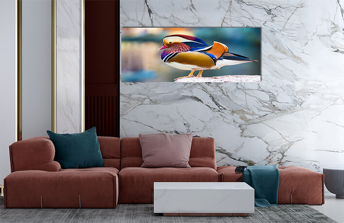 5M 0029 MML 0012 ML 0047 15295106 mandarin duck AOAY2804