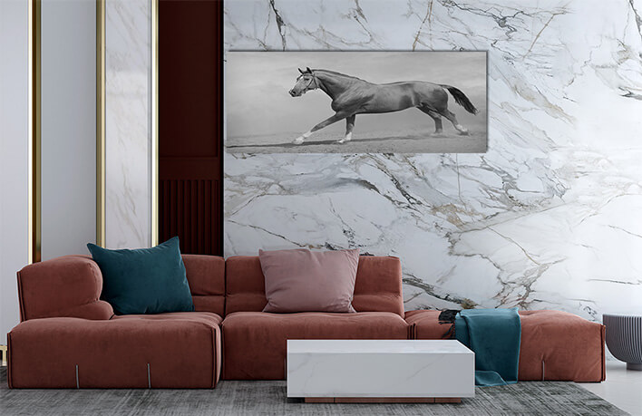 5M 0030 MML 0011 ML 0048 15251768 horse galloping AOAY2803