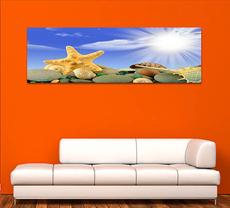 6M 0025 ML 0044 2139985 starfish and set of objects of the sea underwater world AOAY1130