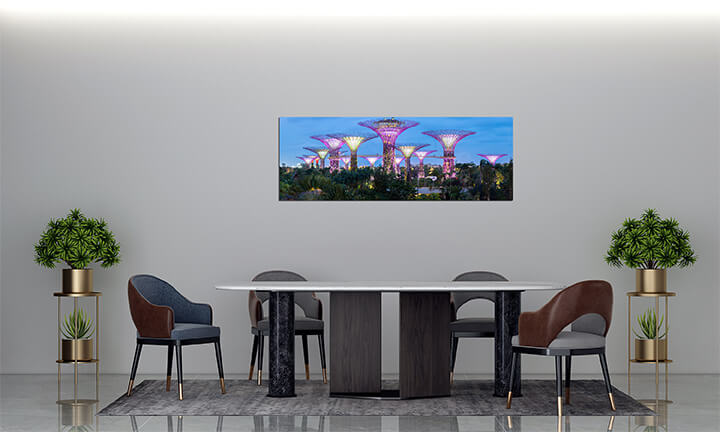 A9 0018 MP 0008 12626656 gardens by the bay AOAY3117