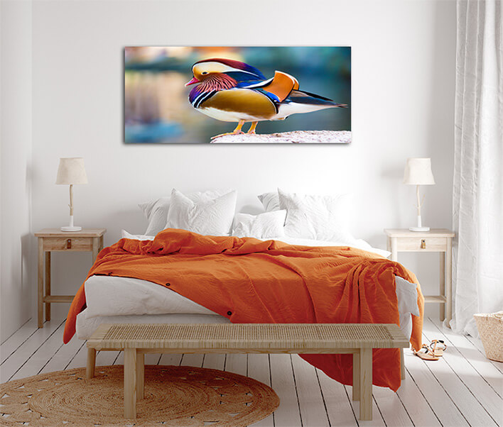 M10 0005 MML 0012 ML 0047 15295106 mandarin duck AOAY2804