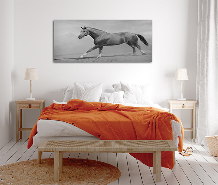 M10 0006 MML 0011 ML 0048 15251768 horse galloping AOAY2803