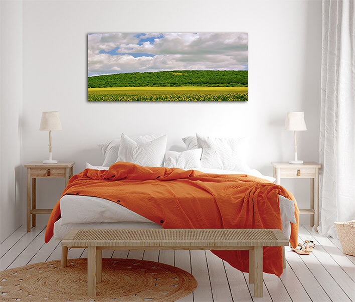 M10 0048 MML 0031 ML 0028 22960794 sunflowers field in bulgaria AOAY2824