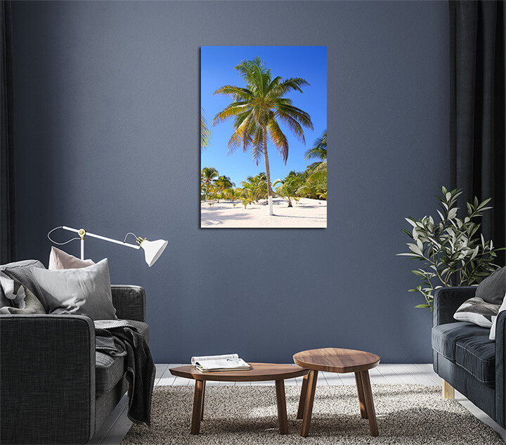 M1_0012_MP_0030_PRINT_P_0032_4924542_coconut-palm-trees-white-sand-tropical-paradise_AOAY1501