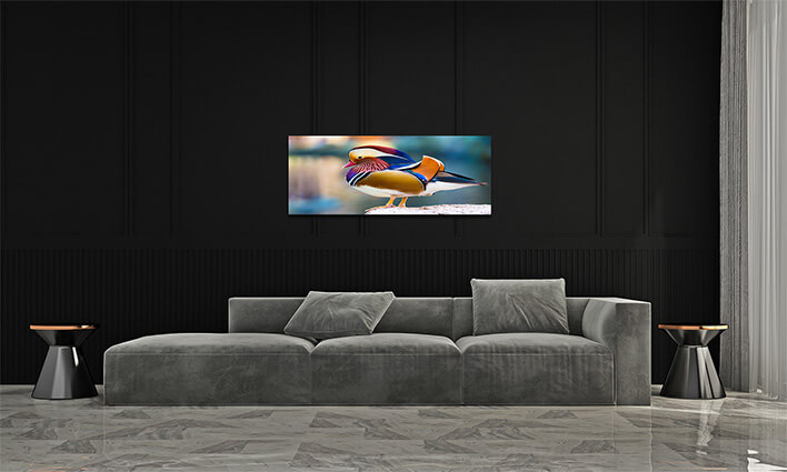 M1 0031 MML 0012 ML 0047 15295106 mandarin duck AOAY2804